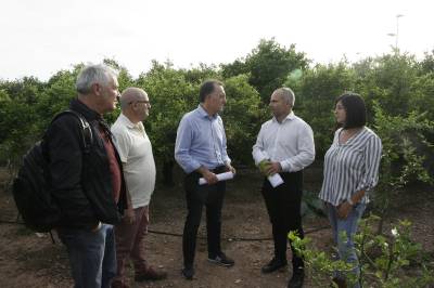 El PSPV-PSOE ir de la mano de los citricultores en sus reivindicaciones principales