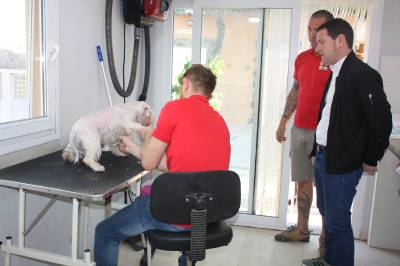 El servei municipal de rescat d'animals de Castell supera les 150 adopcions
