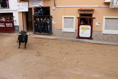 La Sagrada Familia possa el punt i final a les festes amb bous