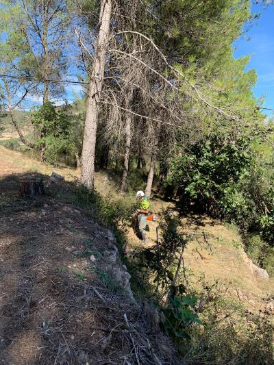 Limpieza de fajas forestales en el entorno de Montanejos y La Alquería