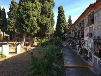 Les Coves de Vinrom pone a punto el cementerio para la festividad de Todos los Santos   