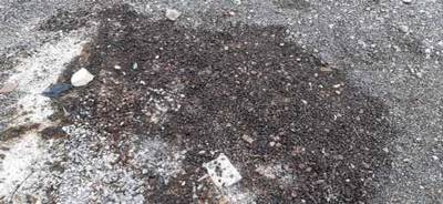 Fotografia /Galeria/2019/10/190069_116520/5_M1.jpg