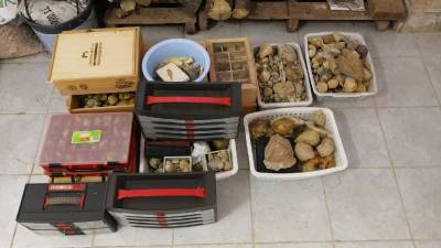 Fotografia /Galeria/2019/11/190245_116675/2_M1.jpg