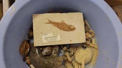 Fotografia /Galeria/2019/11/190245_116675/3_M1.jpg