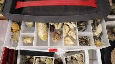 Fotografia /Galeria/2019/11/190245_116675/4_M1.jpg