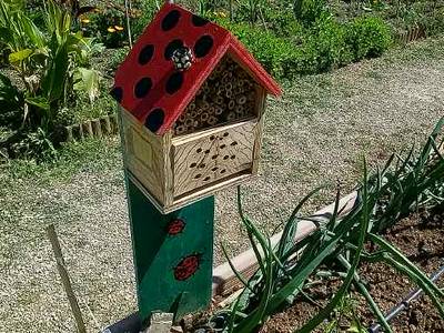 Fotografia /Galeria/2019/11/190290_116712/2_M1.jpg