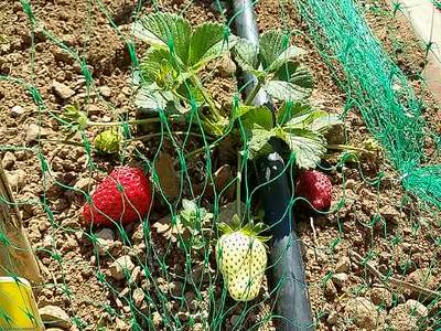 Fotografia /Galeria/2019/11/190290_116712/4_M1.jpg