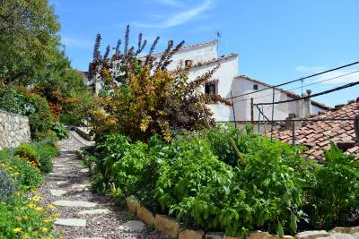 Fotografia /Galeria/2019/11/190301_116721/3_M1.jpg