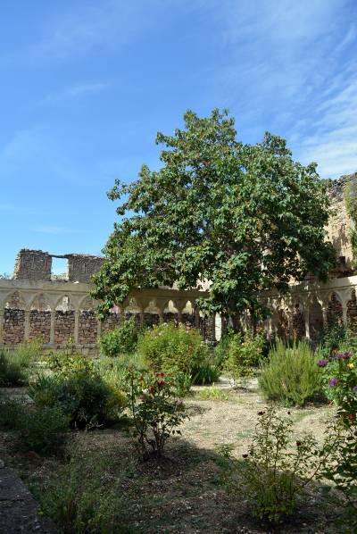 Fotografia /Galeria/2019/11/190301_116721/5_M1.jpg