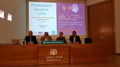 Fotografia /Galeria/2019/11/190332_116747/2_M1.jpg