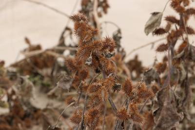 Fotografia /Galeria/2019/11/190380_116786/2_M1.jpg