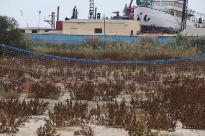 Fotografia /Galeria/2019/11/190380_116786/3_M1.jpg