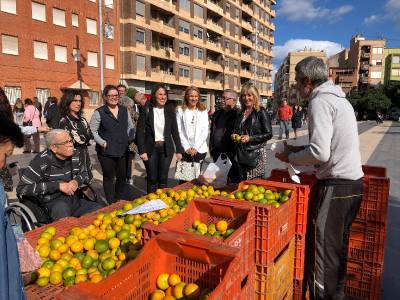 El VIII Mercat de la Taronja abre para activar la compra directa de ctricos de Almassora