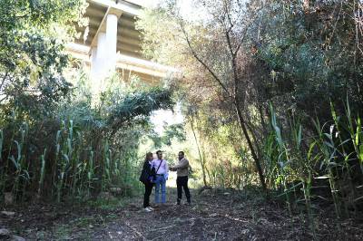 Vila-real posa en valor el MolPaquero amb una neteja de canyes que preservar la biodiversitat en aquest enclavament del Millars