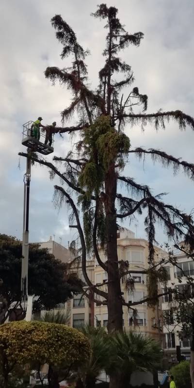 Fotografia /Galeria/2019/11/190493_116883/3_M1.jpg