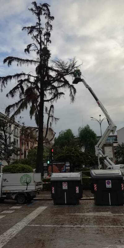 Fotografia /Galeria/2019/11/190493_116883/5_M1.jpg