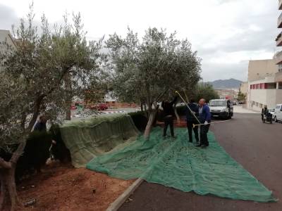 Fotografia /Galeria/2019/11/190555_116940/3_M1.jpg