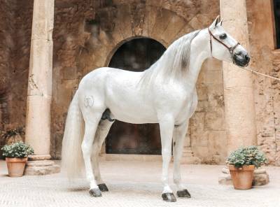 Fotografia /Galeria/2019/11/190563_116948/2_M1.jpg