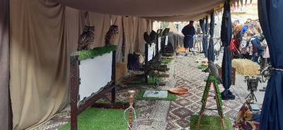 Fotografia /Galeria/2019/11/190642_117022/4_M1.jpg