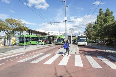 Fotografia /Galeria/2019/11/190681_117060/2_M1.jpg