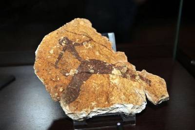 Fotografia /Galeria/2019/11/190740_117114/3_M1.jpg