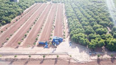 Fotografia /Galeria/2019/11/190776_117147/2_M1.jpg