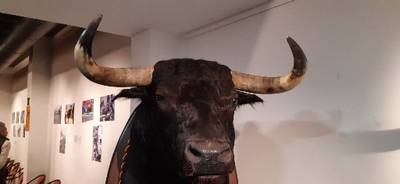 Fotografia /Galeria/2019/11/190838_117195/3_M1.jpg