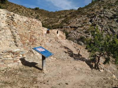 Fotografia /Galeria/2019/11/191108_117432/4_M1.jpg