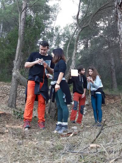 Fotografia /Galeria/2019/12/191219_117525/3_M1.jpg