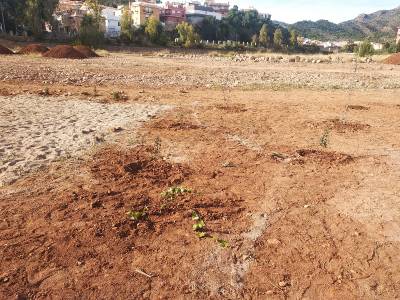 Fotografia /Galeria/2019/12/191239_117544/2_M1.jpg