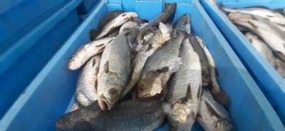 Fotografia /Galeria/2019/12/191464_117736/3_M1.jpg