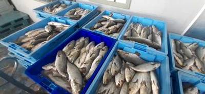 Fotografia /Galeria/2019/12/191464_117736/4_M1.jpg