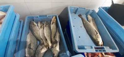 Fotografia /Galeria/2019/12/191464_117736/5_M1.jpg