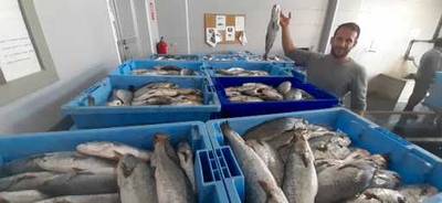 Fotografia /Galeria/2019/12/191464_117736/6_M1.jpg