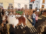 Almenara disfruta del mercat valencià de nadal