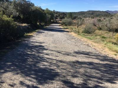 Fotografia /Galeria/2019/2/181745_109463/4_M1.jpg