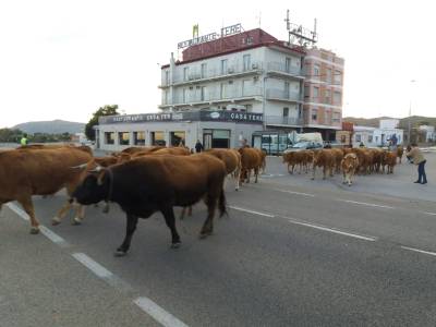 Fotografia /Galeria/2019/2/181770_109488/2_M1.jpg