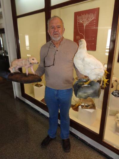 El Museo de Ciencias Naturales el Carmen amplia sus colecciones