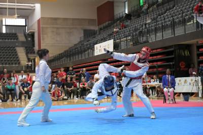 El CTE de Vila-real acull l?Open internacional d?Espanya de Taekwondo en categoria de rnquing olmpic