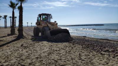 Xilxes inicia la neteja i adequaci de les platges 