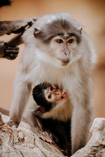 Fotografia /Galeria/2019/5/185281_112500/3_M1.jpg