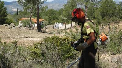 La Diputacin refuerza sus trabajos de prevencin de incendios durante todo el ao en las zonas ms sensibles del interior 