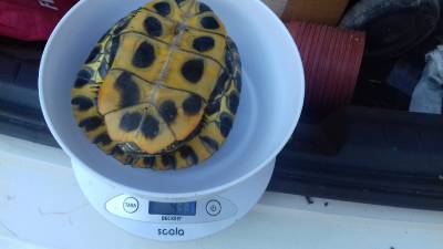 Fotografia /Galeria/2019/5/185321_112536/3_M1.jpg