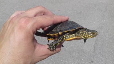 Fotografia /Galeria/2019/5/185321_112536/4_M1.jpg