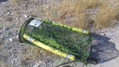 Fotografia /Galeria/2019/5/185321_112536/5_M1.jpg