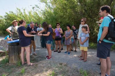Medi Ambient programa una nova jornada de voluntariat ambiental amb la recuperaci de tortugues com a objectiu