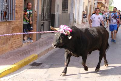 Fotografia /Galeria/2019/6/186447_113488/2_M1.jpg