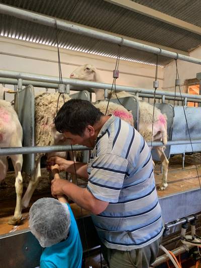 Fotografia /Galeria/2019/7/186816_113804/2_M1.jpg