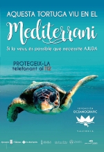 Almenara s'adhereix a la campanya 'Tortugues al Mediterrani' de la Fundació Oceanogràfic