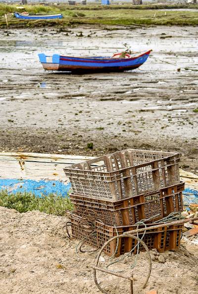 Fotografia /Galeria/2019/7/187024_113984/3_M1.jpg